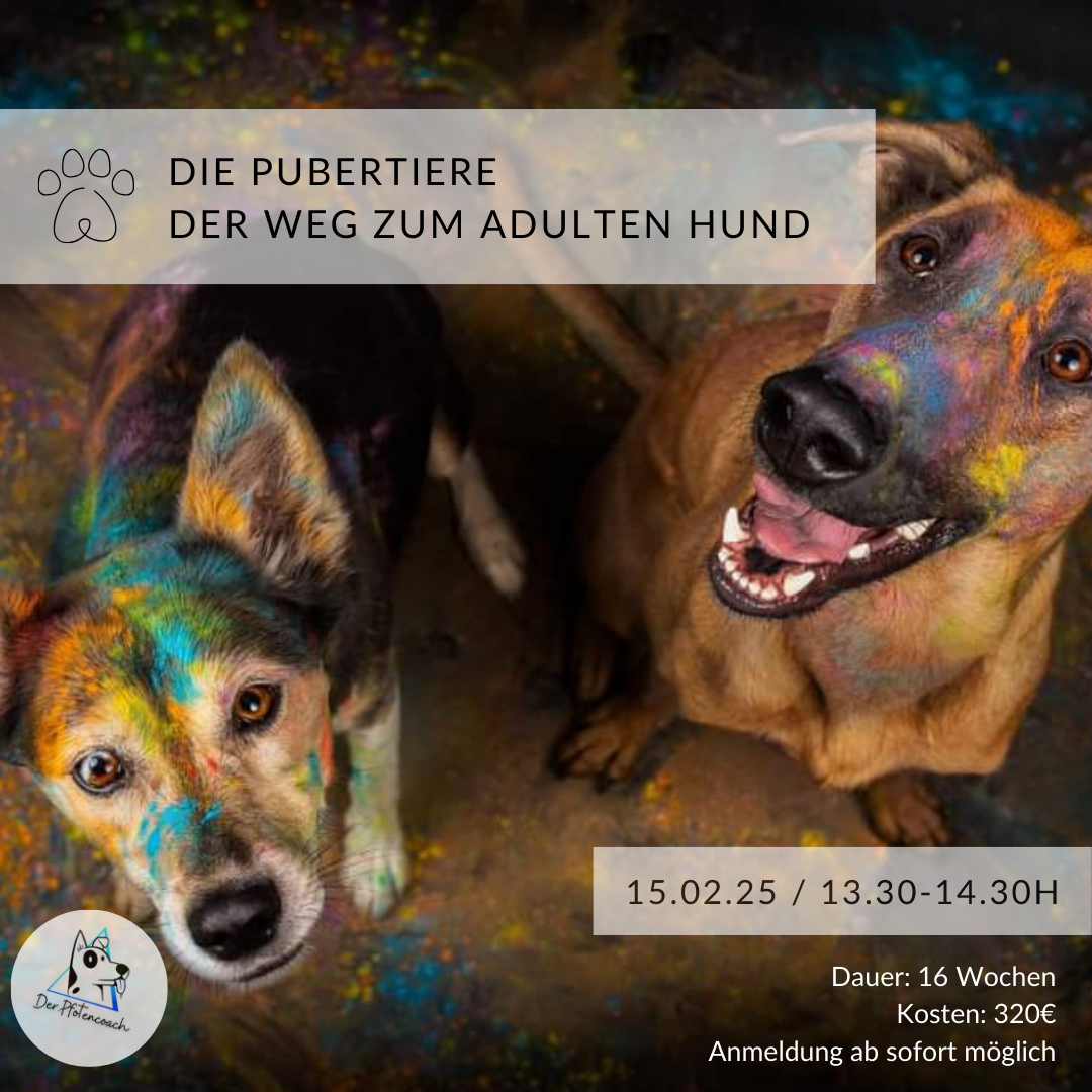 2_20250102_101635_0001