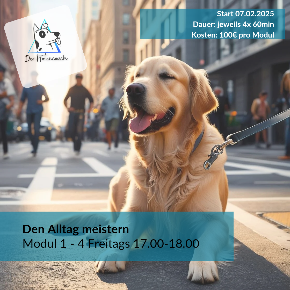 Den Alltag meistern_20250102_102029_0000